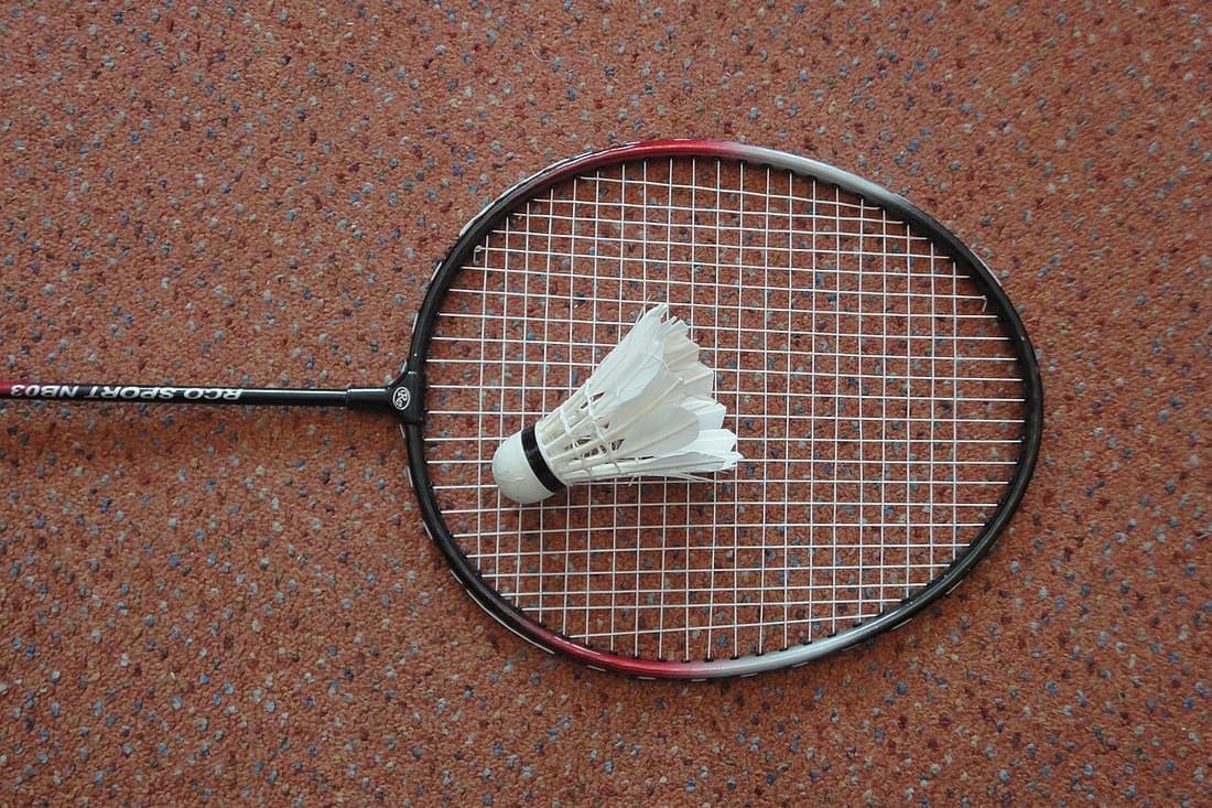 Badminton Raketi Seti + 3 Top + Çanta