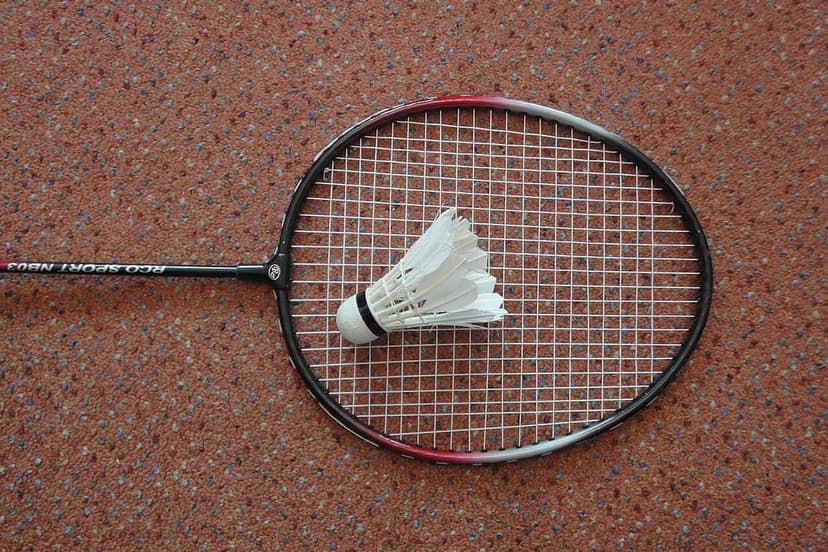 Badminton Raketi Seti + 3 Top + Çanta